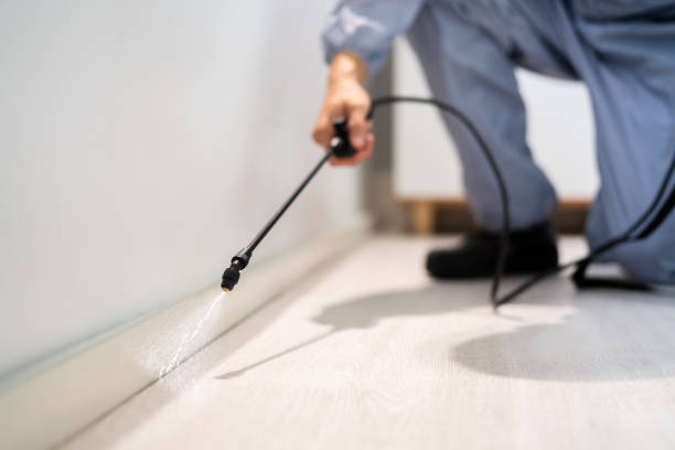 Bed Bug Pre-Treatment Preparation Assessment in Monticello
